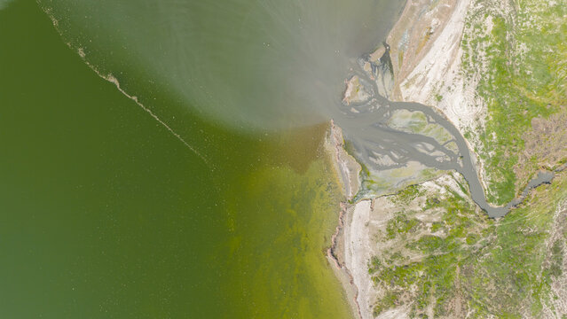 Algal Bloom: An aerial view of a natural river delta and algal proliferation along the coastline. Stock photo on the theme of environmental degradation.