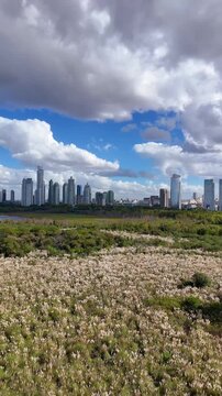 Buenos aires cityscape view from reserva ecologica costanera sur