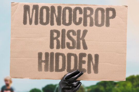 "Monocrop Risk Hidden" The fragility of monoculture food systems is rarely acknowledged publicly. FRAGILITY. MONOCULTURE. SYSTEMS. RARELY. ACKNOWLEDGED.