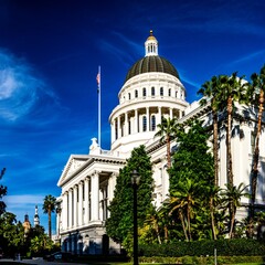 Obraz premium California State Capitol Building Rising Above Palm Trees in Sacramento