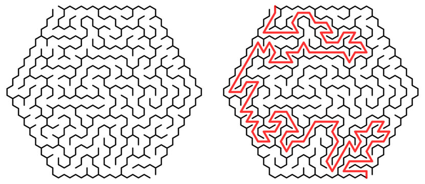 Hexagon maze puzzle with complex solution route