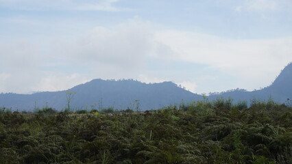 Fototapeta premium Look awesome of fog on mountain in morning