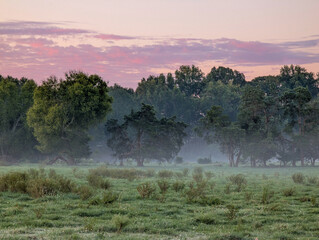Fototapeta premium Morning Fog Drifting Across Quiet Farm Fields Near York South Carolina
