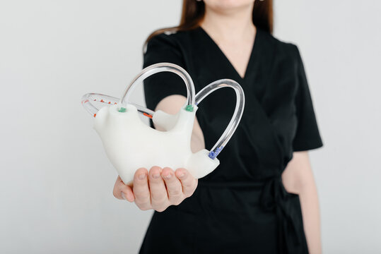 young woman doctor, medician in black costume, neurologist holds semicircular otolith dynamic anatomical model of the inner ear in hands, medical services