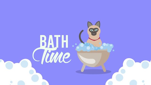 Animated siamese cat taking bubble bath in small tub with bath time lettering and soap suds background.