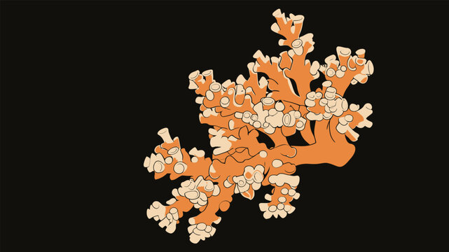 Flat Illustration of a Branching Stony Coral Colony
