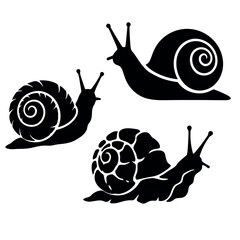 A minimal snail set silhouette vector illustration © Mst. Liza Akter