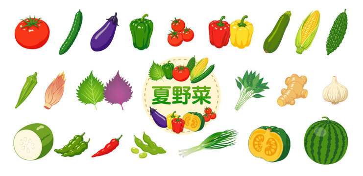 夏野菜イラストセット｜トマト・きゅうり・なす・とうもろこし・スイカなど手描き風ベクター素材