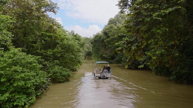 Tranquil Afternoon on a Costa Rican River A Journey Through the Lush Rainforest
