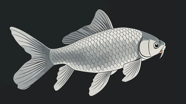 Flat Vector Illustration of a Common Carp Fish