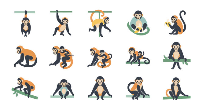 Cartoon monkeys in various poses set vector illustration on white background
