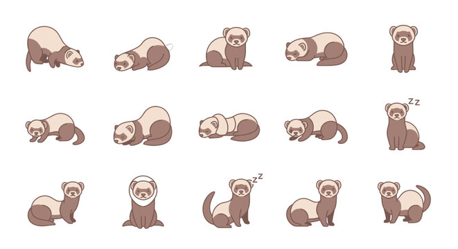 Cartoon ferrets in various poses isolated graphic elements for design