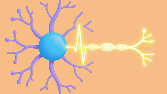 Dynamic 2D Flat Animation Of A Neuron Firing In Soft Pastel Colors Emphasizing Neural Communication Against A Peach Background