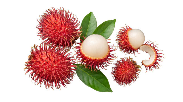 Vibrant red rambutan fruits, whole and peeled, showcasing sweet white flesh, with green leaves.