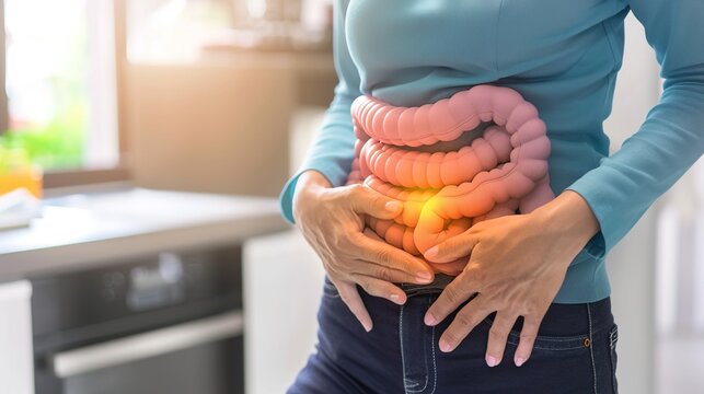 Inflammatory Bowel Disease 3D medical anatomical illustration, chronic inflammatory disorder of human digestive tract and intestinal lining, bowel inflammation, Crohn&rsquo;s disease and ulcerative colitis 