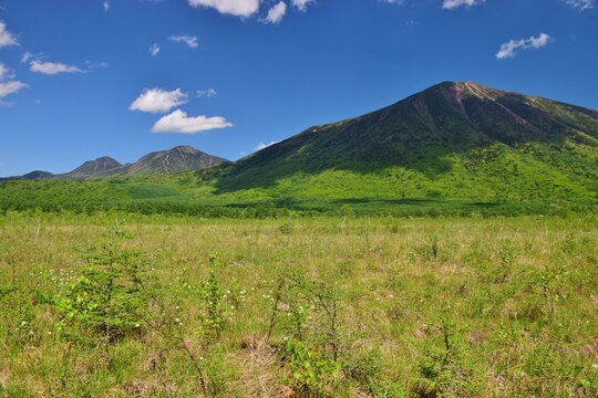 奥日光 戦場ヶ原　新緑の季節