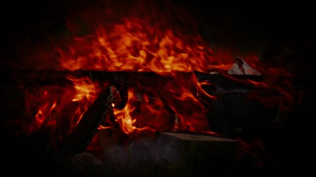 Close up of a burning campfire with bright orange flames and glowing embers on charred wood at night. Intense heat and atmospheric fire light in a dark outdoor environment.