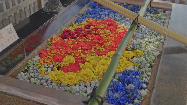 Medium overhead static shot of a Japanese shrine purification basin filled with vivid floating flowers &mdash; red, yellow, and blue gerberas arranged in mosaic pattern &mdash; bamboo ladle resting diagonally acr