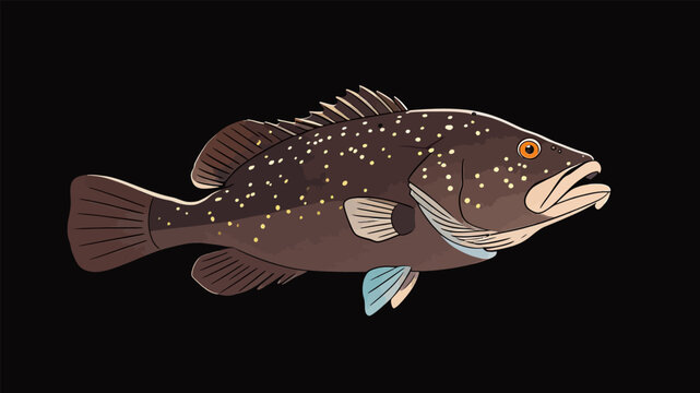 Illustrated Spotted Grouper Marine Fish Artwork