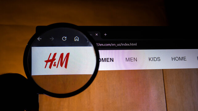 Closeup of the hm clothing brand website logo viewed through a magnifying glass on a computer screen