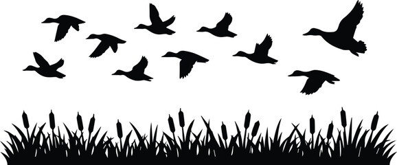 Flying ducks silhouette, a flock of wild birds in flight over marsh grass and cattails, black waterfowl vector illustration for nature and wildlife designs © Shanza