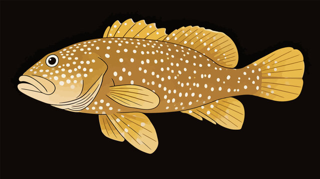 Illustrated white spotted brown grouper marine fish