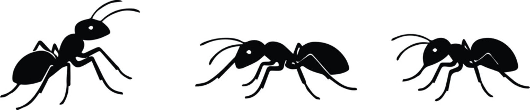 Black Ant Vector Set, three simple cartoon ant illustrations, isolated insect graphics for nature, pest control, or educational designs