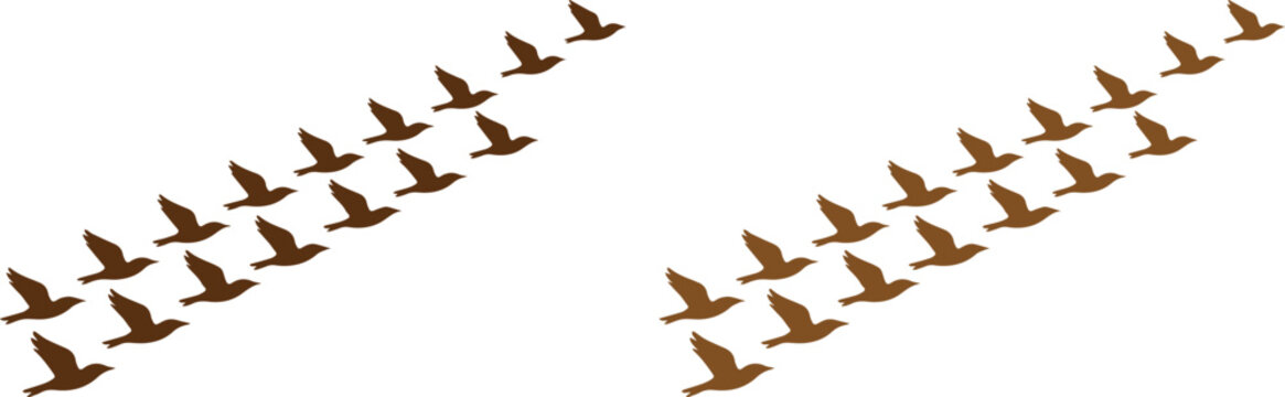 Flying birds vector illustration, a flock of brown birds in V-formation, migratory bird pattern, wildlife and nature concept, isolated on white for design elements