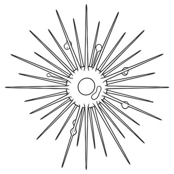 Heliozoa microorganism vector illustration
