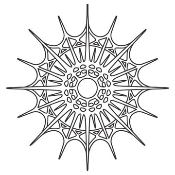 Radiolaria vector illustration, microscopic marine organism flat design
