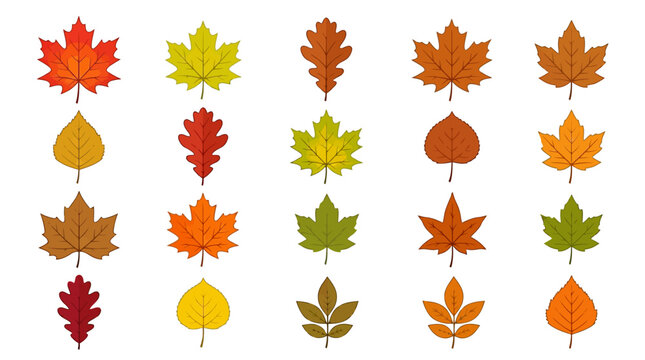 Colorful Leaves Falling Downward.