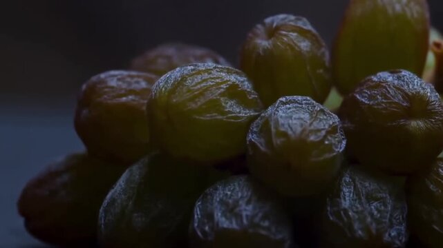 Timelapse macro of a green grape cluster dehydrating and wrinkling into dark raisins over time concept of water loss and concentration of sweetness