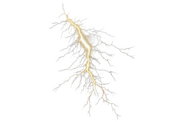 Obraz premium Dried branch with bare twigs isolated on transparent background