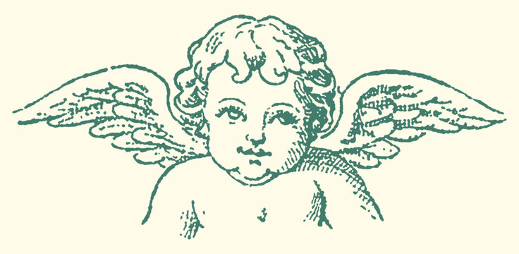 Illustration of a baby cherub with outstretched wings feathers illustration mythology innocent peaceful heavenly spiritual religious ornament decorative creature mythical symbolic