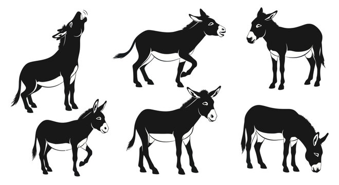 Donkey Silhouettes: Set of 6 Poses in Black and White