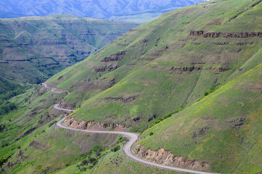 Oregon route 3 Lewiston Highway winds through the Blue Mountains towards the Washington State border