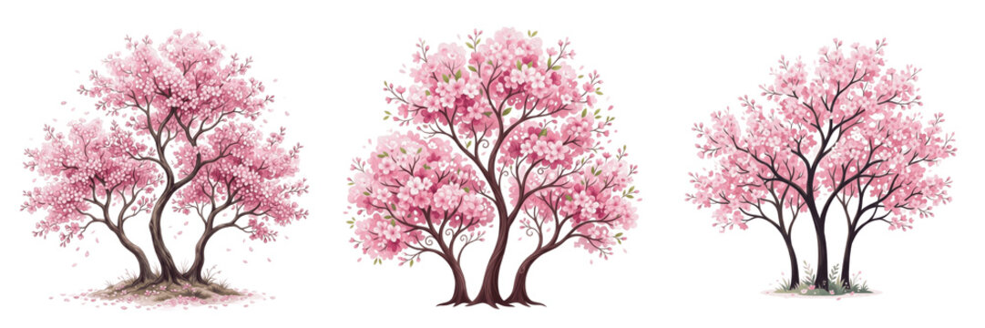 Spring Pink Cherry Blossom Tree PNG Set, Blooming Sakura Trees in Full Bloom, Isolated Japanese Floral Landscape Assets