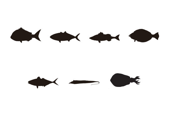 Popular Game Fish Silhouette Illustration Set for Sea Fishing