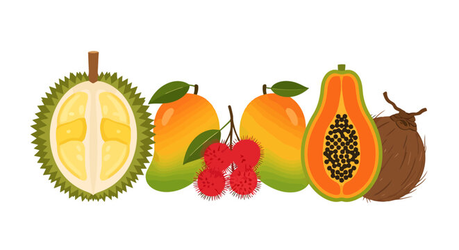 Abundant selection of vibrant tropical fruits displayed together including a halved durian ripe mangoes fresh rambutan sliced papaya and a whole coconut showcasing a colorful assortment of