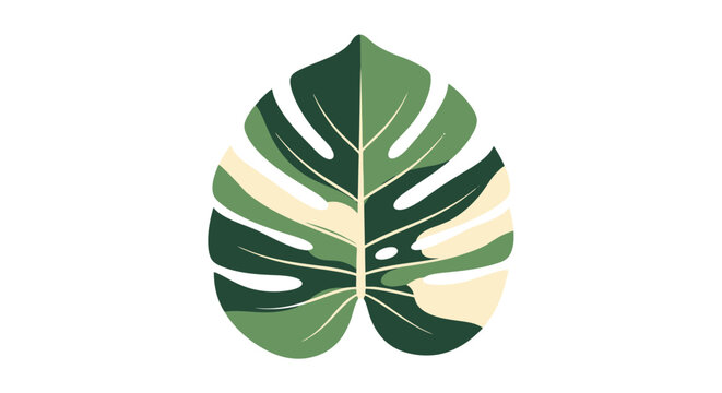 A single lush green monstera leaf shape is depicted with alternating shades of emerald and pale cream colors showcasing natural jungle foliage patterns and botanical beauty ideal for tropical