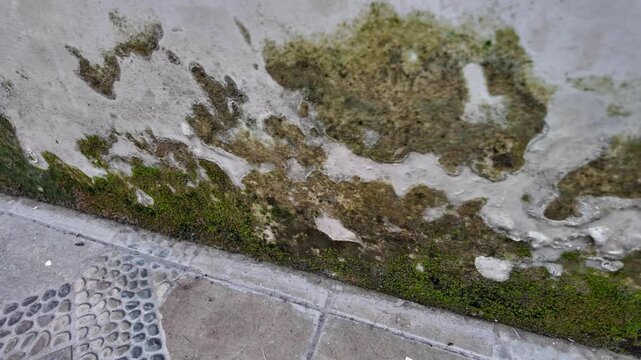 A shot of the lower section of a building wall showing erosion, dirt accumulation, and moss growth near the ground level.