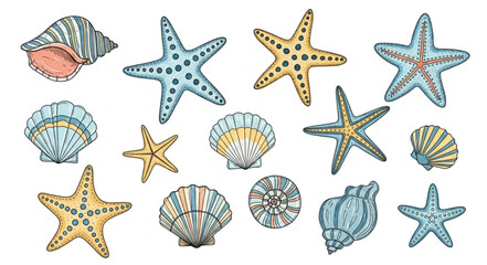 Collection of Hand Drawn Seashells and Starfish Illustrations. © Melinda