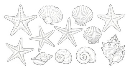 Collection of Hand Drawn Seashells and Starfish Illustrations. © Melinda