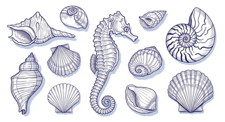Collection of Hand Drawn Seashells and Seahorse Illustration. © Melinda