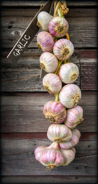 A braid of garlic hangs vertically against a rustic wooden wall, with a small sign labeled 'Garlic'. The different hues of the garlic bulbs contrast with the wooden background.