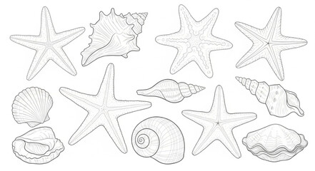 Collection of Hand Drawn Starfish and Seashells Sketch. © Fahmii