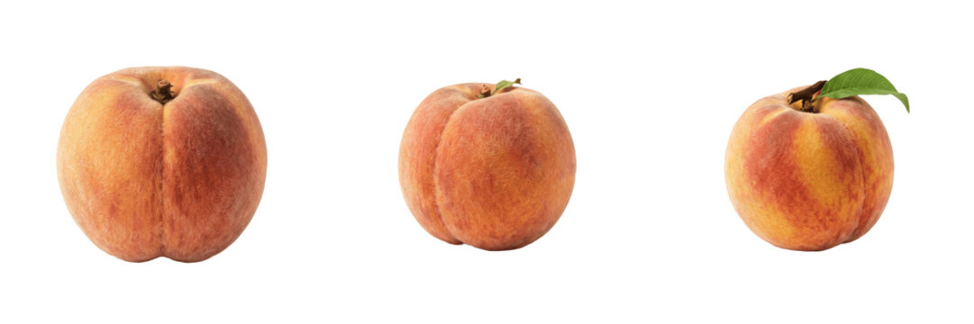 Sweet Juicy Nectarine, Fresh Organic Harvest, Summer Stone Fruit, Healthy Nutrition, Whole Peach with Leaf.