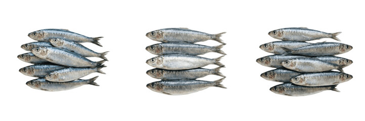 Obraz premium Stack of Fresh Silver Sardines, Raw Sea Fish Seafood PNG Set.