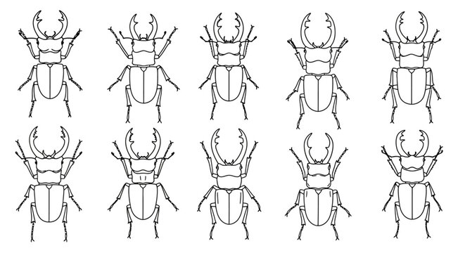 Collection of ten stag beetle outlines