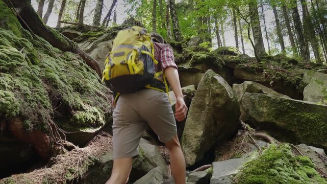 Young man with backpack hiking uphill on rocky forest path, dynamic movement shot, adventurous nature exploration, trees and green moss in background.